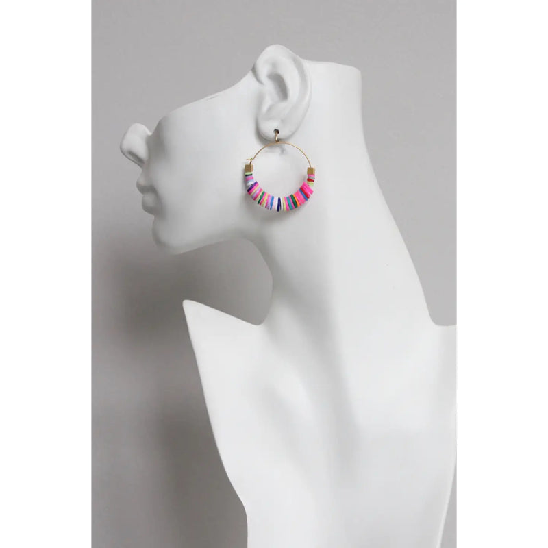 Rainbow Hoop Earrings image 0