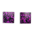 Magellanic Clouds Earrings-Purple image 0