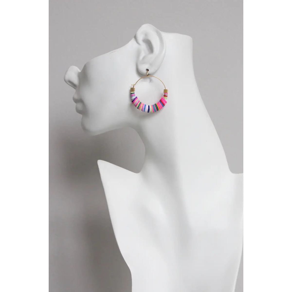 Rainbow Hoop Earrings image 0